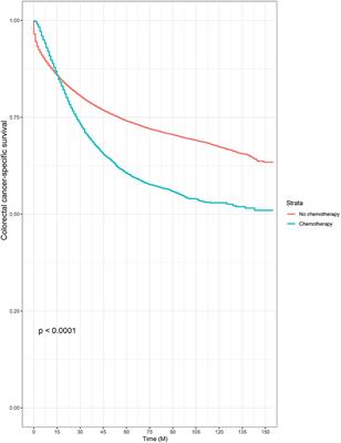 Oncologic Outcome and Efficacy of Chemotherapy in Colorectal Cancer Patients Aged 80 Years or Older